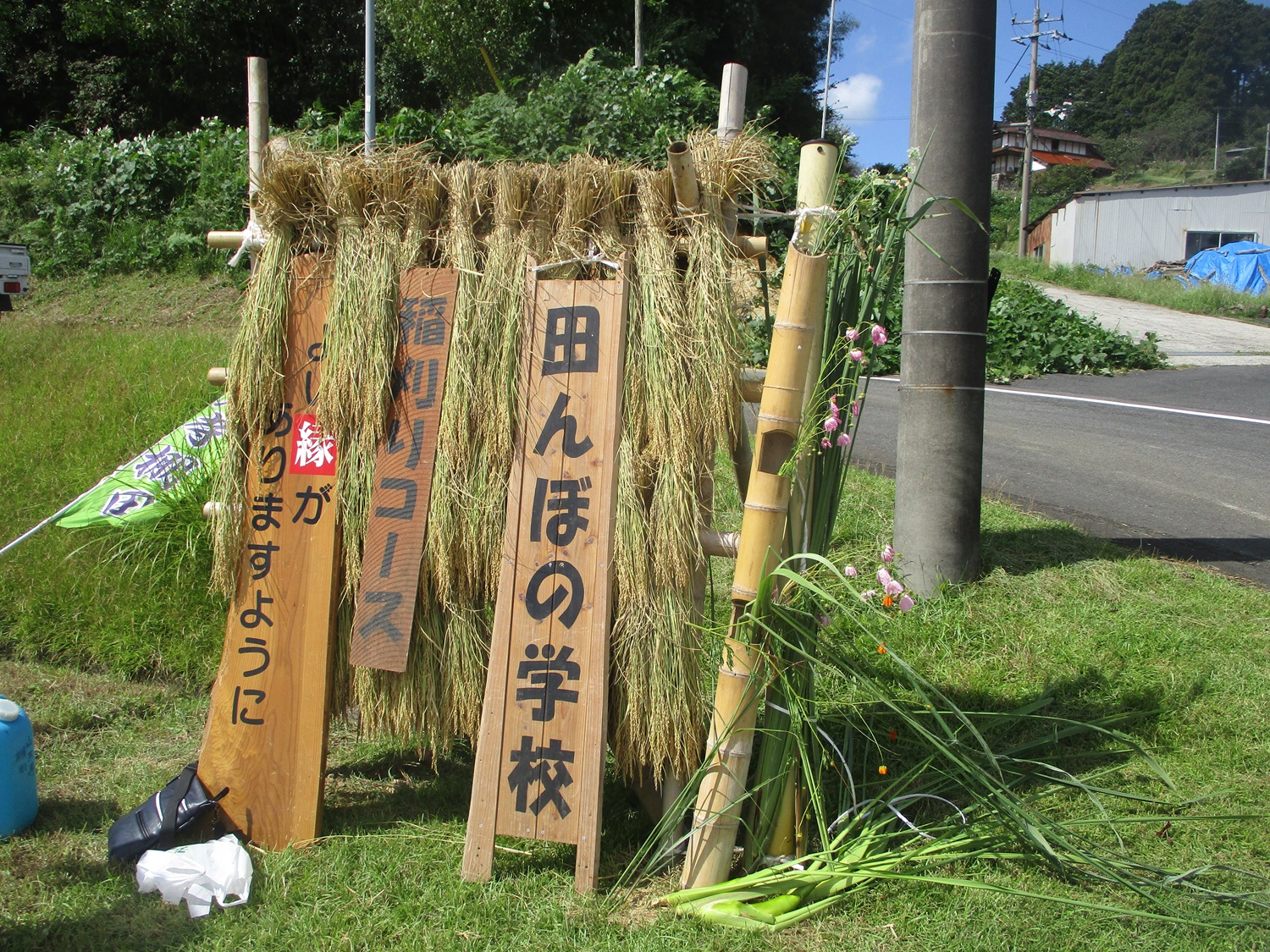 【イベント情報】たんぼの学校「稲刈りコース」（2024.9.22開催）